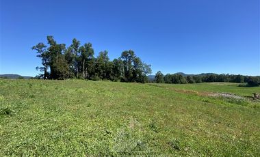 Agrícola en Venta en COD39344 Parcela 6 Vilcun