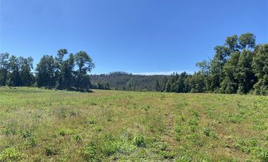 Agrícola en Venta en COD39344 Parcela 6 Vilcun