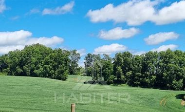 Agrícola en Venta en COD39344 Parcela 6 Vilcun