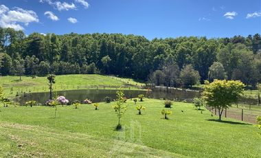 Agrícola en Venta en COD39344 Parcela 6 Vilcun