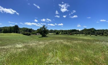 Agrícola en Venta en COD39344 Parcela 6 Vilcun