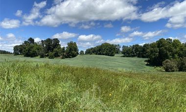 Agrícola en Venta en COD39344 Parcela 6 Vilcun