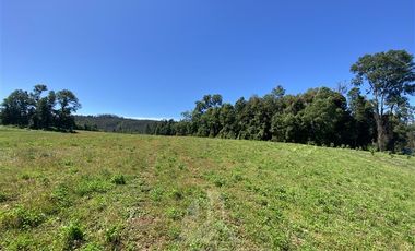 Agrícola en Venta en COD39344 Parcela 6 Vilcun