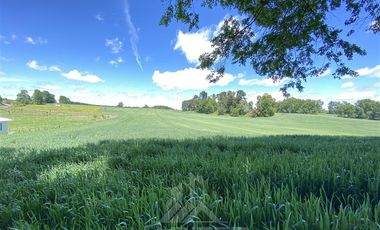 Agrícola en Venta en COD39344 Parcela 6 Vilcun