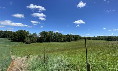 Agrícola en Venta en COD39344 Parcela 6 Vilcun