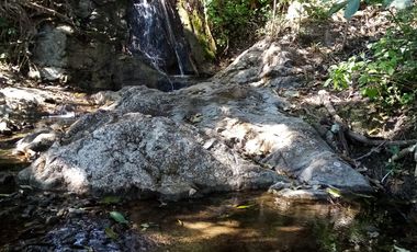 Rancho en Venta 150 hectáreas, Michoacan