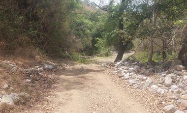 Rancho en Venta 150 hectáreas, Michoacan