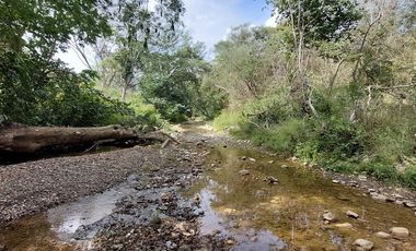Rancho en Venta 150 hectáreas, Michoacan