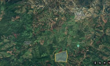 Rancho en Venta 150 hectáreas, Michoacan