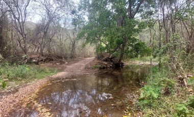 Rancho en Venta 150 hectáreas, Michoacan