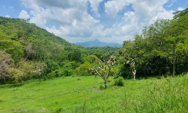 Rancho en Venta 150 hectáreas, Michoacan