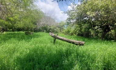 Rancho en Venta 150 hectáreas, Michoacan