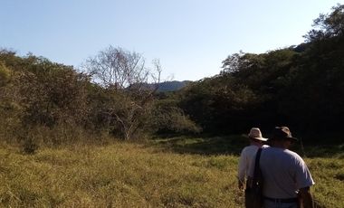 Rancho en Venta 150 hectáreas, Michoacan