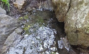 Rancho en Venta 150 hectáreas, Michoacan