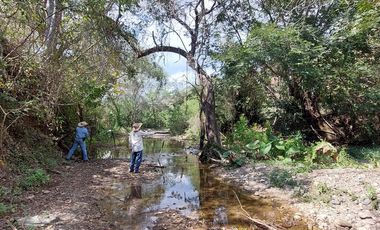 Rancho en Venta 150 hectáreas, Michoacan