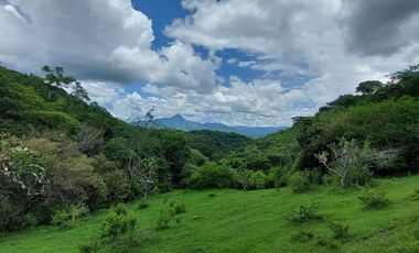 Rancho en Venta 150 hectáreas, Michoacan