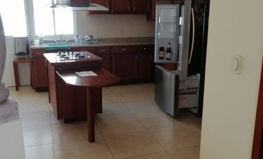 CASA RENTA FRACC.EL SAUCEDAL