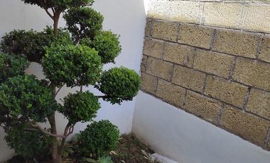 CASA RENTA FRACC.EL SAUCEDAL