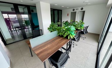 Departamento - Santiago de Surco