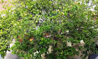 Departamento en venta - 2 Dormitorios 2 Baños - San Clemente del Tuyú