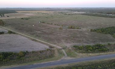 Campo en Venta