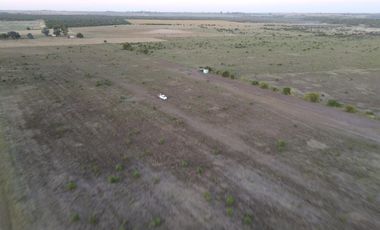 Campo en Venta