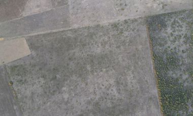 Campo en Venta