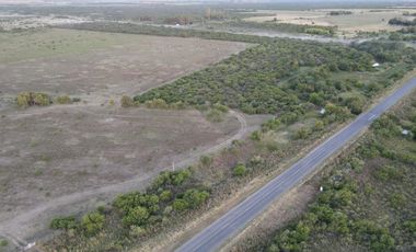 Campo en Venta
