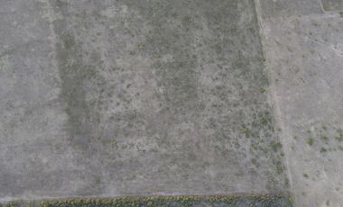 Campo en Venta