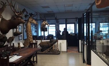 Galpon en Venta en Lanus Este