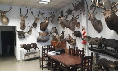 Galpon en Venta en Lanus Este