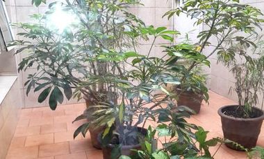 Excelente Lote propio en Venta o Alquiler en SAN TELMO. APTO TODOS LOS RUBROS