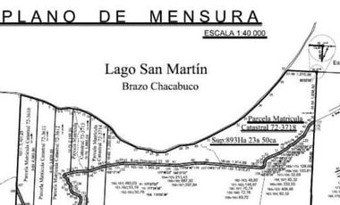 Campo en venta - 893 Hectáreas - Lago San Martín, Tres Lagos, Santa Cruz