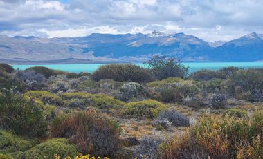 Campo en venta - 893 Hectáreas - Lago San Martín, Tres Lagos, Santa Cruz