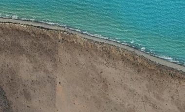 Campo en venta - 893 Hectáreas - Lago San Martín, Tres Lagos, Santa Cruz