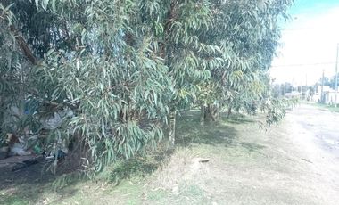 Casa en venta - 1 Dormitorio 1 Baño - 804mts2 - Mar del Plata