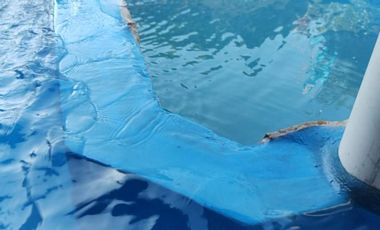 Casa en venta - 4 Dormitorios 4 Baños - Cocheras - 344Mts2 - Burzaco