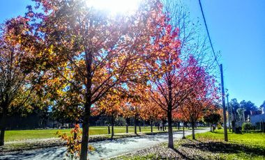 Casa en venta - 3 Dormitorios 3 Baños - Villa Constitución