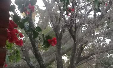 Casa en venta - 3 Dormitorios 3 Baños - Villa Constitución