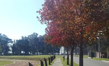 Casa en venta - 3 Dormitorios 3 Baños - Villa Constitución