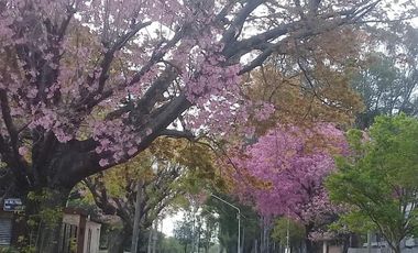 Casa en venta - 3 Dormitorios 3 Baños - Villa Constitución