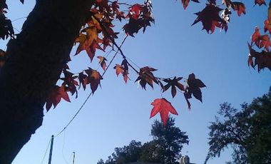 Casa en venta - 3 Dormitorios 3 Baños - Villa Constitución