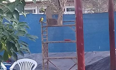 Casa en venta - 3 Dormitorios 3 Baños - Villa Constitución