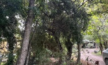 Casa en venta - 2 Dormitorios 2 Baños - 2.000Mts2 - Punta Indio