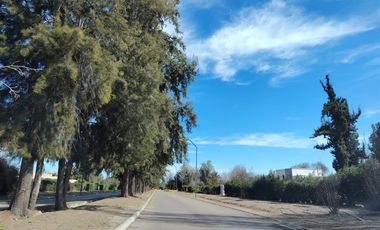 Casa en Venta en Algarrobal de Chicureo