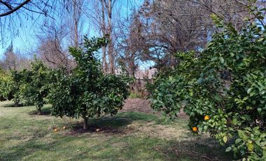 Casa en Venta en Algarrobal de Chicureo
