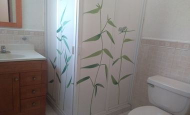 Casas en Renta en Coaxustenco