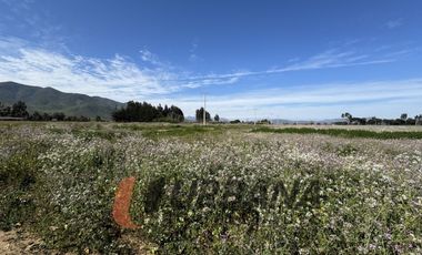PARCELAS EN VENTA SECTOR PAN DE AZUCAR, COQUIMBO