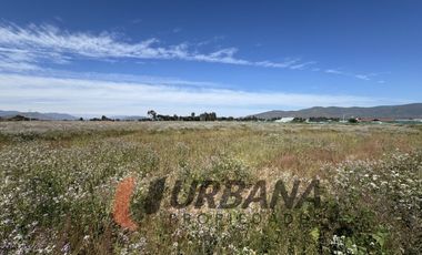 PARCELAS EN VENTA SECTOR PAN DE AZUCAR, COQUIMBO