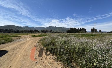 PARCELAS EN VENTA SECTOR PAN DE AZUCAR, COQUIMBO